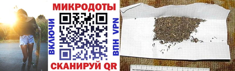 Галлюциногенные грибы Psilocybine cubensis  где найти   Серафимович 